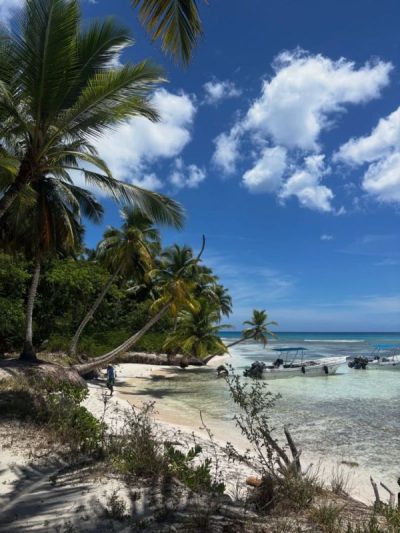 Viva Wyndham Dominicus Beach в июне — фото погоды (2026-06-17)
