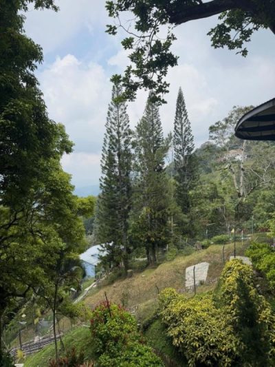 Penang Hill в апреле — фото погоды (2026-04-29)