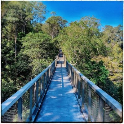 Penang Hill в июне — фото погоды (2026-06-20)