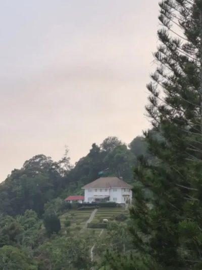 Penang Hill в июле — фото погоды (2026-07-12)