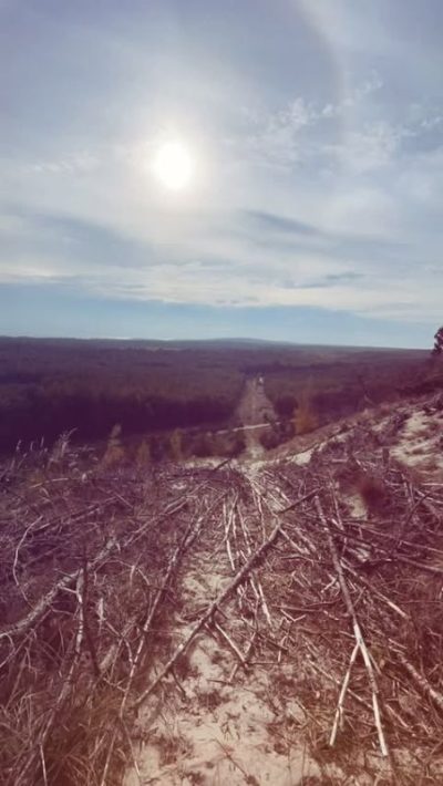 Neringa, Klaipėdos Apskritis, Lithuania в октябре — фото погоды (2025-10-22)
