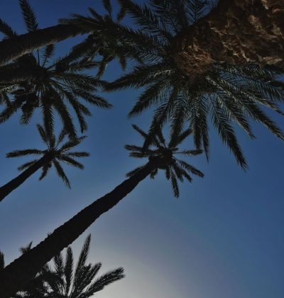 Zarzia, Madanin, Tunisia в июле — фото погоды (2026-07-16)