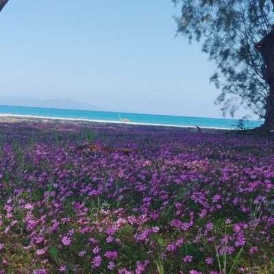 Atlantis Beach Hotel Kos — фото погоды в марте (2025-03-10)