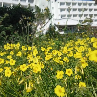 Atlantis Beach Hotel Kos — фото погоды в марте (2025-03-18)