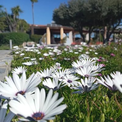 Atlantis Beach Hotel Kos — фото погоды в марте (2025-03-18)