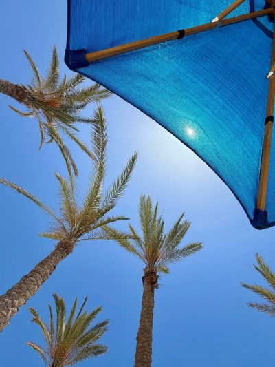 Rixos Premium Alamein — фото погоды в июне (2026-06-20)
