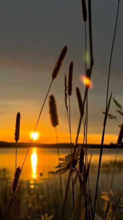 Kivach Nature Reserve в июле — фото погоды (2024-07-16)