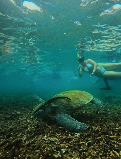 Shark Bay , Koh Tao , Thailand в сентябре — фото погоды (2025-09-22)