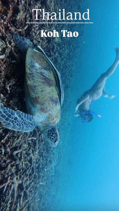 Shark Bay , Koh Tao , Thailand в ноябре — фото погоды (2025-11-21)