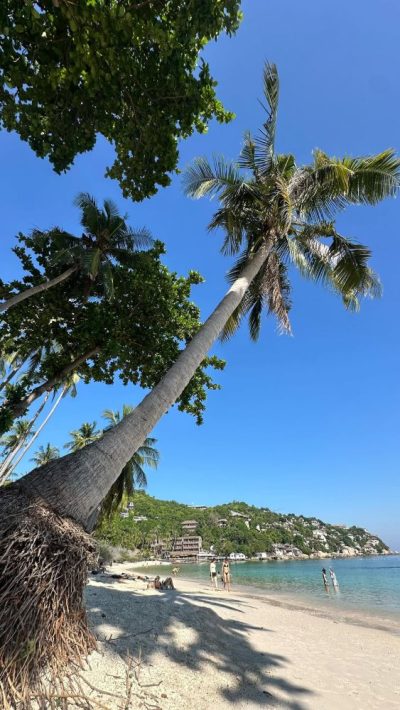 Shark Bay , Koh Tao , Thailand в январе — фото погоды (2026-01-25)