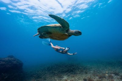 Shark Bay , Koh Tao , Thailand в июле — фото погоды (2026-07-15)