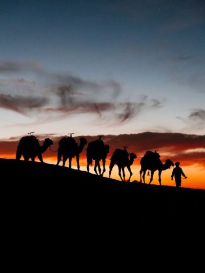 Sahara Desert, Morocco в ноябре — фото погоды (2025-11-03)