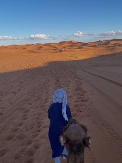 Sahara Desert, Morocco в ноябре — фото погоды (2025-11-22)