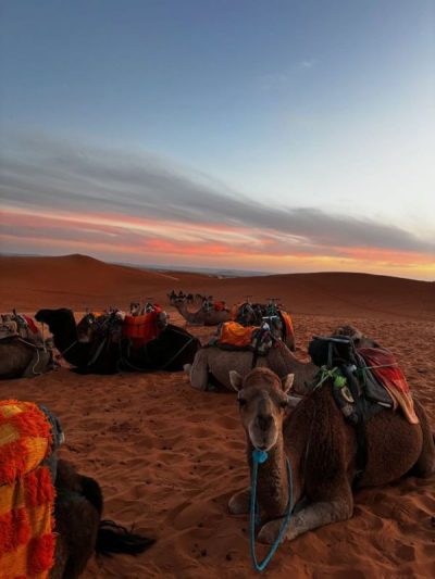 Sahara Desert, Morocco в ноябре — фото погоды (2025-11-24)