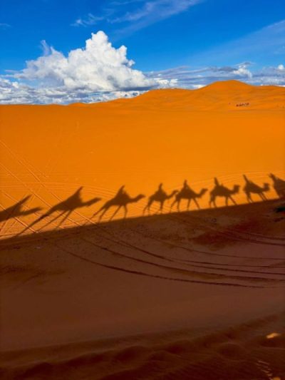 Sahara Desert, Morocco в апреле — фото погоды (2026-04-11)