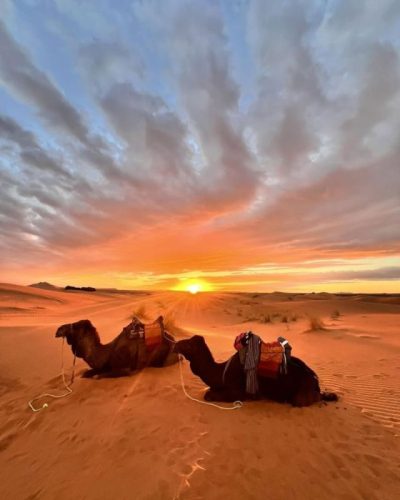 Sahara Desert в январе — фото погоды (2026-01-17)