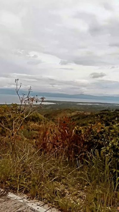 Badian Highlands в июне — фото погоды (2026-06-29)