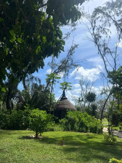 Beau Champ, Flacq, Mauritius в феврале — фото погоды (2026-02-06)