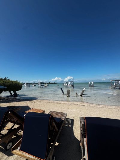 Mahogany Bay Resort & Beach Club, Curio Collection by Hilton — фото погоды в январе (2026-01-23)