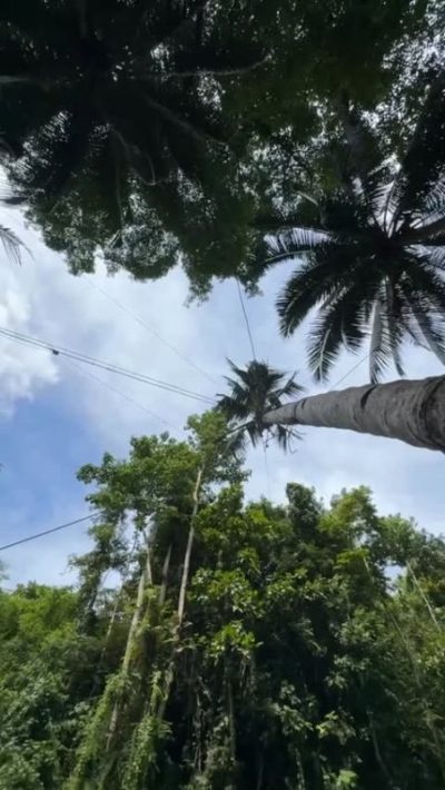 Kawasan Falls Canyoneering - Cebu, Badian в январе — фото погоды (2026-01-31)