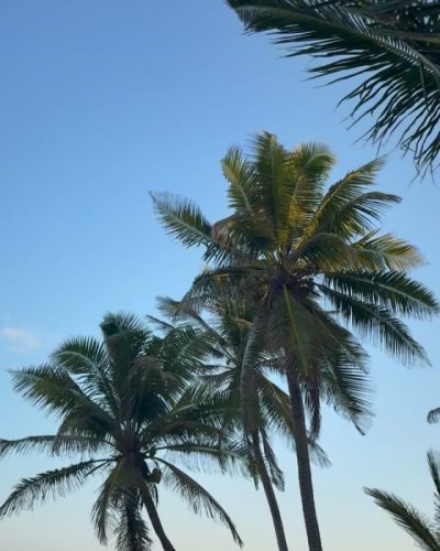 Libelula Tulum в марте — фото погоды (2025-03-31)