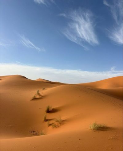 Sahara в июне — фото погоды (2026-06-20)