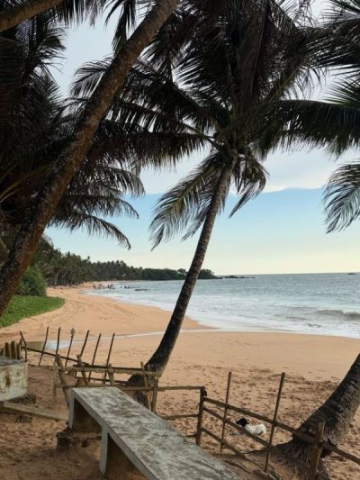 Induruwa Sea Turtle Conservation Project в ноябре — фото погоды (2025-11-25)