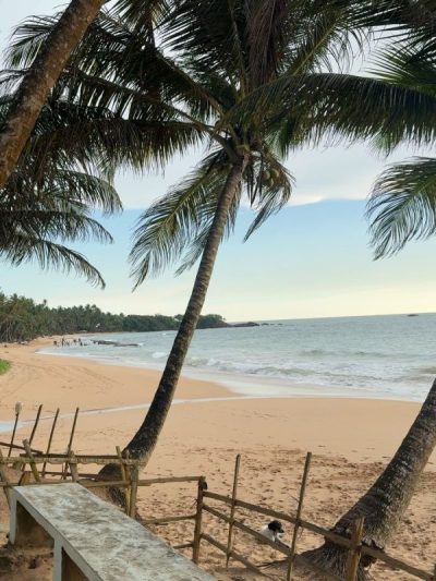 Induruwa Sea Turtle Conservation Project в ноябре — фото погоды (2025-11-25)