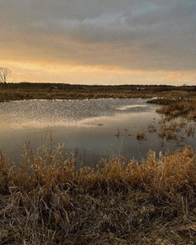 Богатое Зеленоградский Район в феврале — фото погоды (2025-02-08)