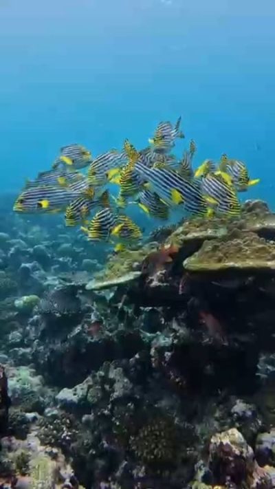 Himandhoo, Maldives в октябре — фото погоды (2025-10-10)