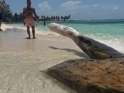 Isla Catalina, Republica Dominicana в июле — фото погоды (2026-07-24)