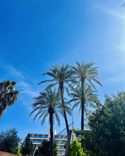 Helios Hotel Benidorm — фото погоды в апреле (2026-04-17)