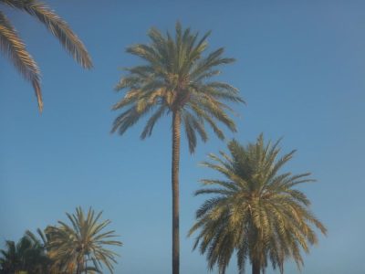 Marbella Old Town в июле — фото погоды (2026-07-01)