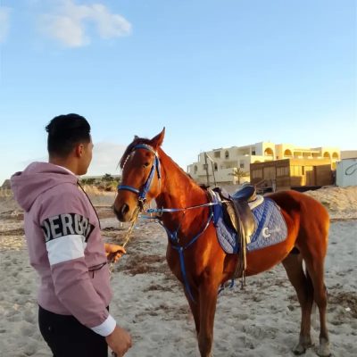 Jerba в феврале — фото погоды (2026-02-21)
