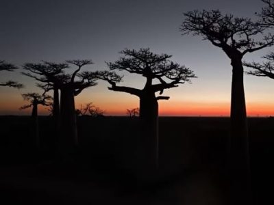 Lokobe National Park, Nosy Be, Madagascar в июле — фото погоды (2026-07-21)