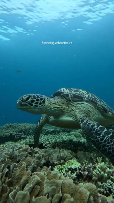Gili Meno в декабре — фото погоды (2025-12-02)