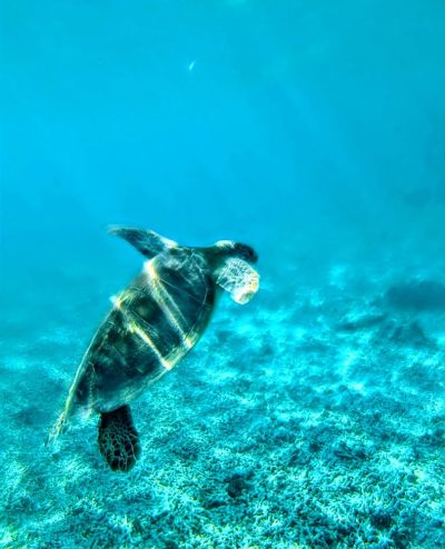 Gili Meno в январе — фото погоды (2026-01-29)