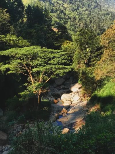 Nuwara Eliya Town, Sri Lanka в июле — фото погоды (2026-07-05)