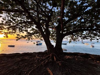 Trou Aux Biches, Northern Mariana Islands в сентябре — фото погоды (2025-09-21)