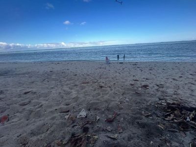 Le Morne Public Beach в декабре — фото погоды (2025-12-04)