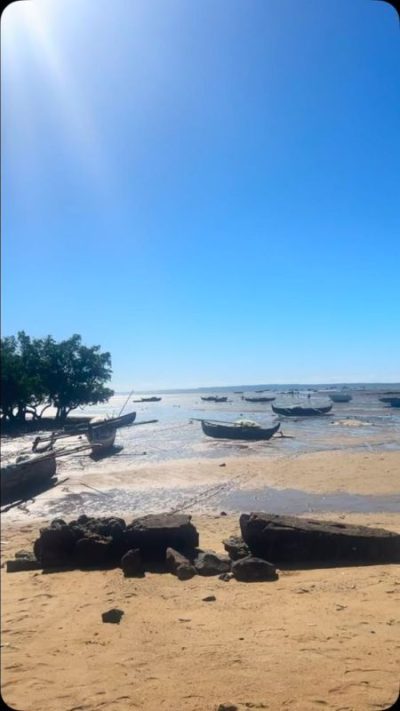 Riserva naturale integrale di Lokobe в мае — фото погоды (2025-05-26)