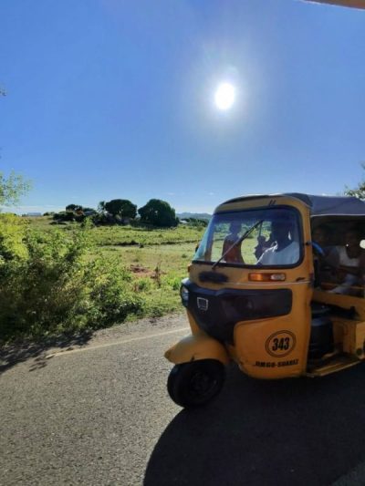 Riserva naturale integrale di Lokobe в мае — фото погоды (2026-05-16)