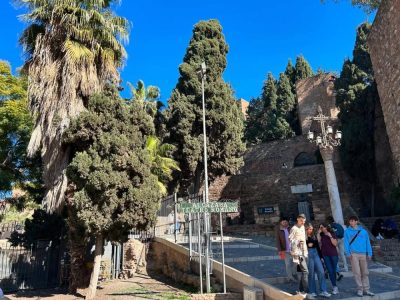 Alcazaba в июле — фото погоды (2024-07-23)
