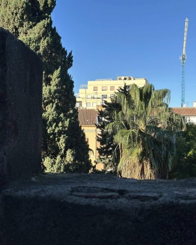 Alcazaba в январе — фото погоды (2025-01-14)
