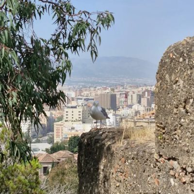Alcazaba в июне — фото погоды (2025-06-18)