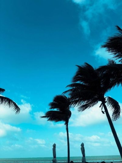 Hilton Cancun All-Inclusive в июне — фото погоды (2026-06-20)