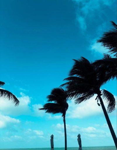 Hilton Cancun All-Inclusive в июне — фото погоды (2026-06-24)