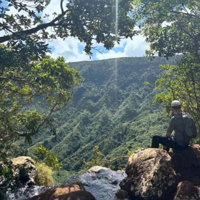 Black River Gorges National Park в июле — фото погоды (2025-07-28)
