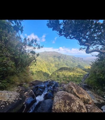 Black River Gorges National Park в октябре — фото погоды (2025-10-01)
