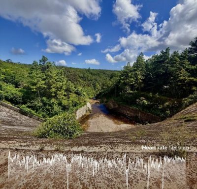 Black River Gorges National Park в марте — фото погоды (2026-03-31)